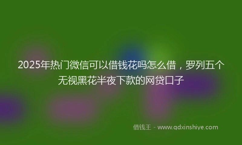 2025年热门微信可以借钱花吗怎么借，罗列五个无视黑花半夜下款的网贷口子