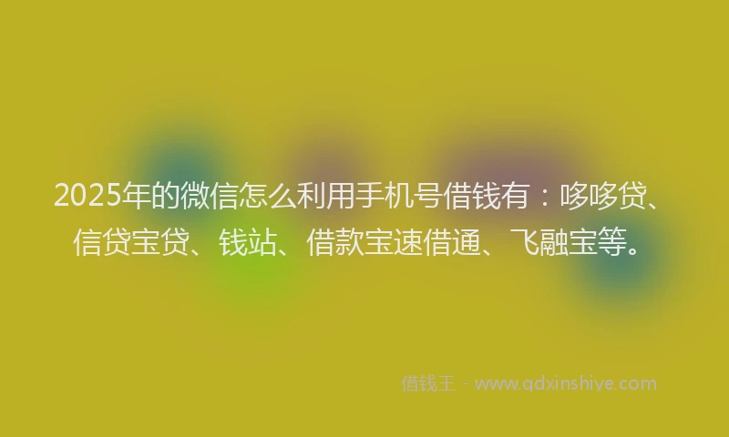 2025年的微信怎么利用手机号借钱有：哆哆贷、信贷宝贷、钱站、借款宝速借通、飞融宝等。
