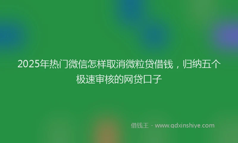 2025年热门微信怎样取消微粒贷借钱，归纳五个极速审核的网贷口子