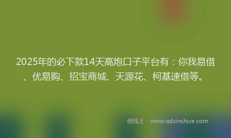 2025年的必下款14天高炮口子平台有：你我易借、优易购、招宝商城、天源花、柯基速借等。