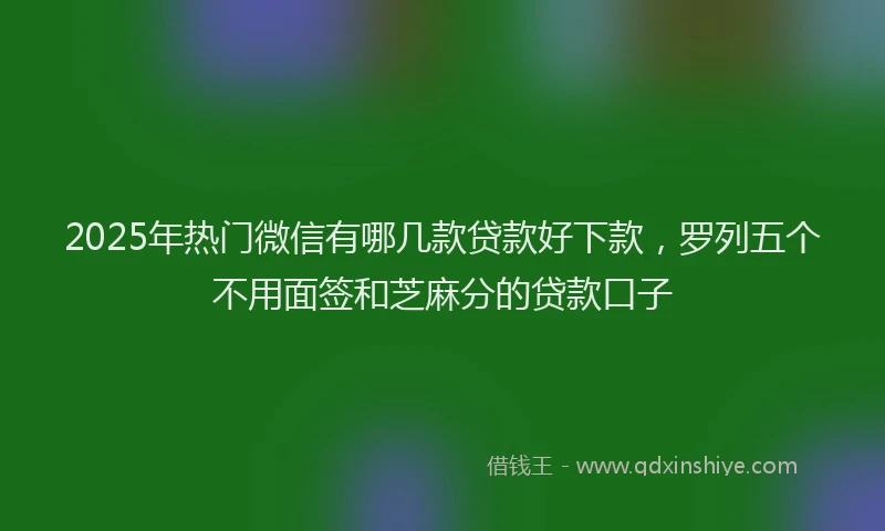 2025年热门微信有哪几款贷款好下款，罗列五个不用面签和芝麻分的贷款口子