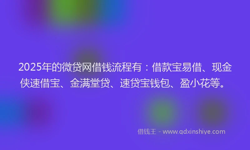2025年的微贷网借钱流程有：借款宝易借、现金侠速借宝、金满堂贷、速贷宝钱包、盈小花等。