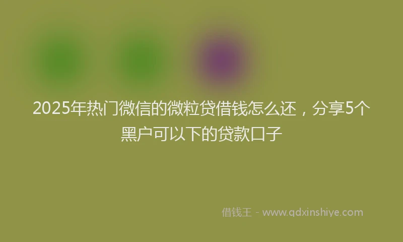 2025年热门微信的微粒贷借钱怎么还，分享5个黑户可以下的贷款口子