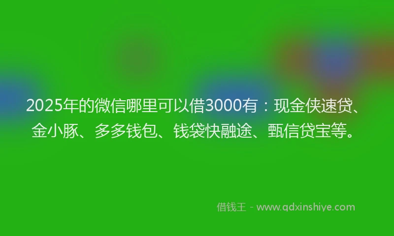 2025年的微信哪里可以借3000有：现金侠速贷、金小豚、多多钱包、钱袋快融途、甄信贷宝等。