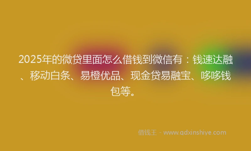 2025年的微贷里面怎么借钱到微信有：钱速达融、移动白条、易橙优品、现金贷易融宝、哆哆钱包等。