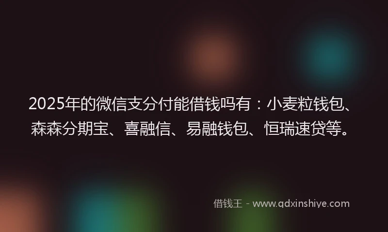 2025年的微信支分付能借钱吗有：小麦粒钱包、森森分期宝、喜融信、易融钱包、恒瑞速贷等。