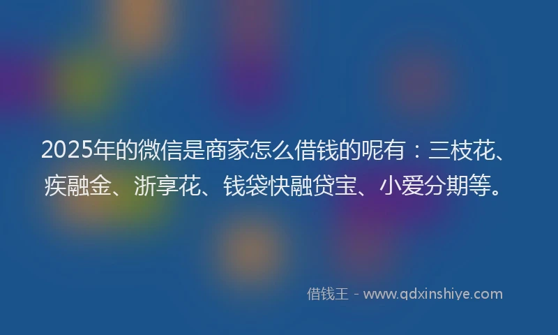 2025年的微信是商家怎么借钱的呢有：三枝花、疾融金、浙享花、钱袋快融贷宝、小爱分期等。