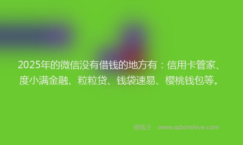 2025年的微信没有借钱的地方有：信用卡管家、度小满金融、粒粒贷、钱袋速易、樱桃钱包等。