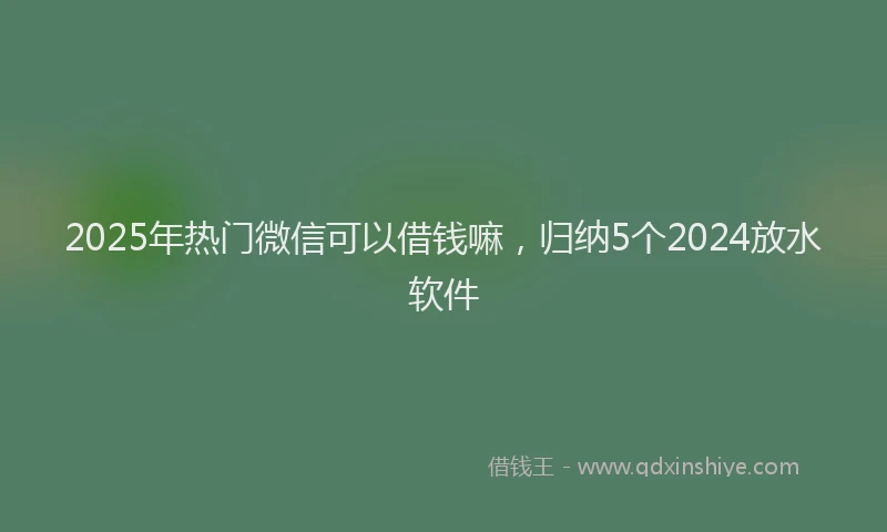 2025年热门微信可以借钱嘛，归纳5个2024放水软件