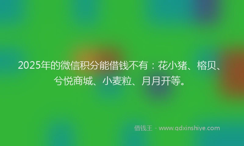 2025年的微信积分能借钱不有：花小猪、榕贝、兮悦商城、小麦粒、月月开等。