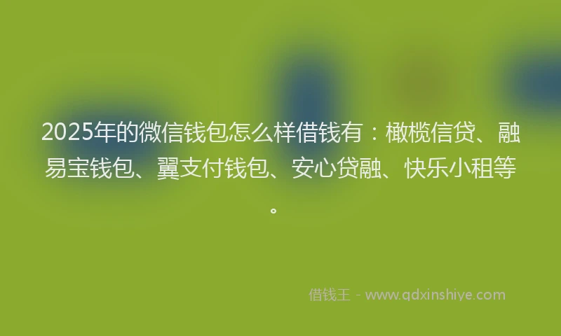 2025年的微信钱包怎么样借钱有：橄榄信贷、融易宝钱包、翼支付钱包、安心贷融、快乐小租等。