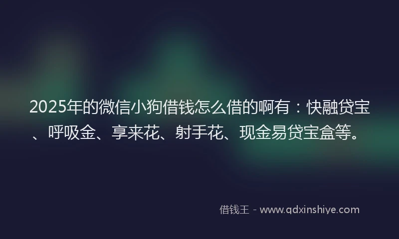 2025年的微信小狗借钱怎么借的啊有：快融贷宝、呼吸金、享来花、射手花、现金易贷宝盒等。