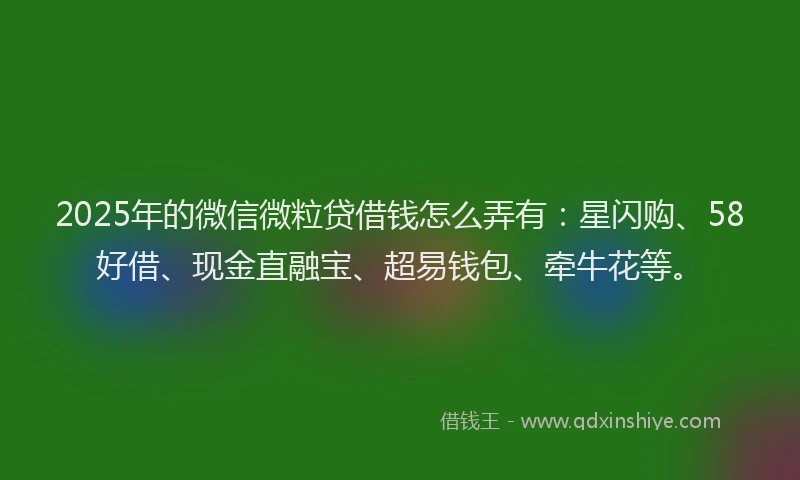 2025年的微信微粒贷借钱怎么弄有：星闪购、58好借、现金直融宝、超易钱包、牵牛花等。