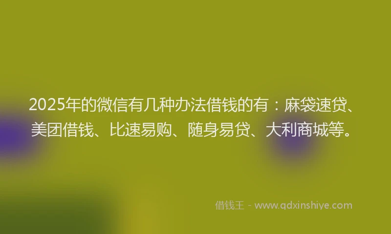 2025年的微信有几种办法借钱的有：麻袋速贷、美团借钱、比速易购、随身易贷、大利商城等。