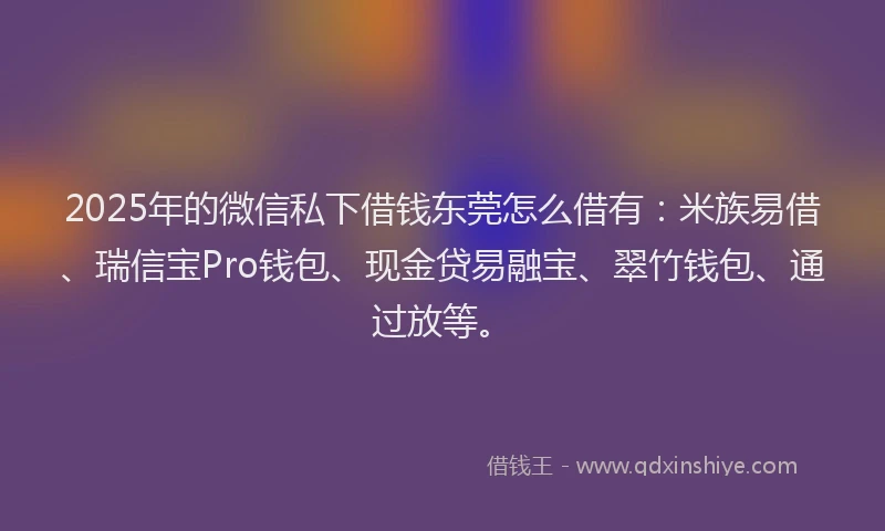 2025年的微信私下借钱东莞怎么借有：米族易借、瑞信宝Pro钱包、现金贷易融宝、翠竹钱包、通过放等。