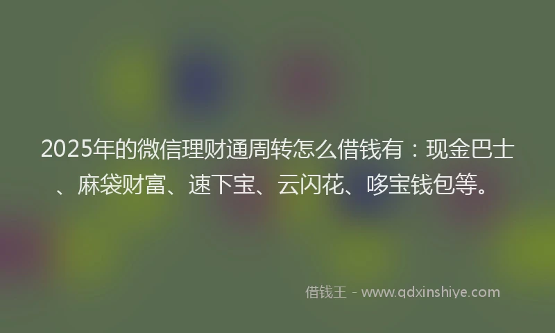 2025年的微信理财通周转怎么借钱有：现金巴士、麻袋财富、速下宝、云闪花、哆宝钱包等。