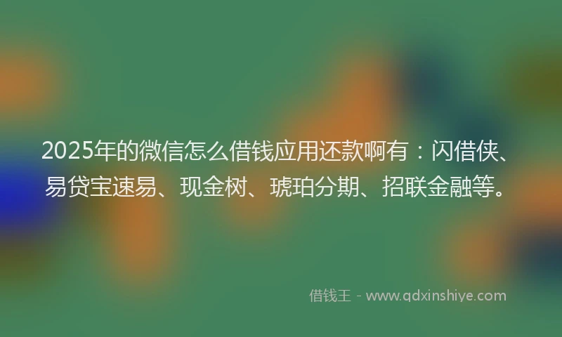 2025年的微信怎么借钱应用还款啊有：闪借侠、易贷宝速易、现金树、琥珀分期、招联金融等。