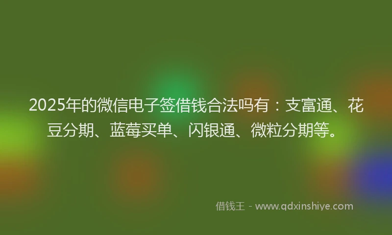 2025年的微信电子签借钱合法吗有：支富通、花豆分期、蓝莓买单、闪银通、微粒分期等。