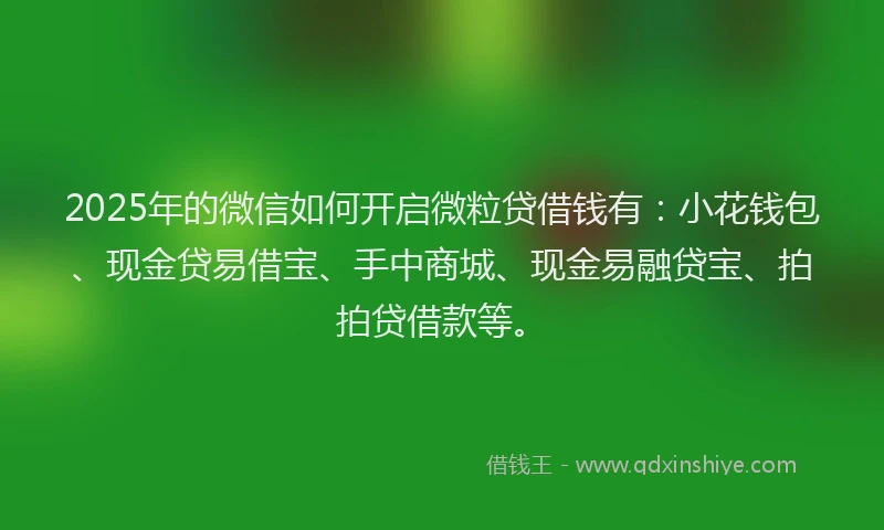 2025年的微信如何开启微粒贷借钱有：小花钱包、现金贷易借宝、手中商城、现金易融贷宝、拍拍贷借款等。
