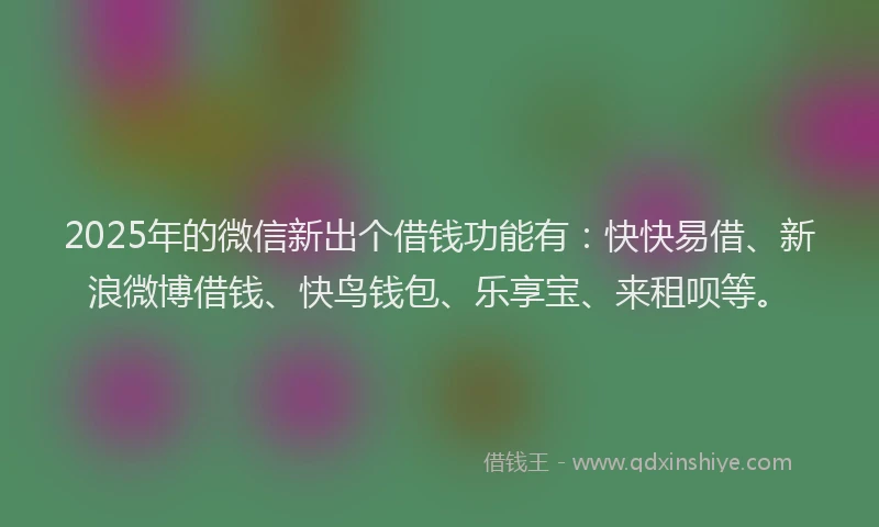 2025年的微信新出个借钱功能有：快快易借、新浪微博借钱、快鸟钱包、乐享宝、来租呗等。