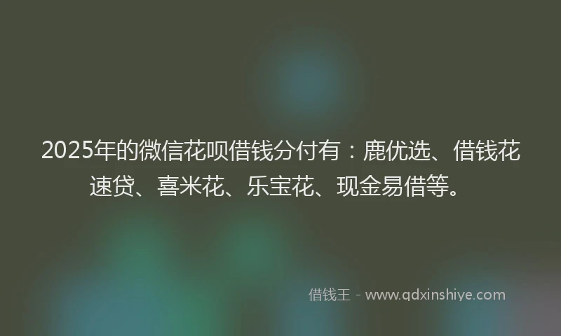 2025年的微信花呗借钱分付有：鹿优选、借钱花速贷、喜米花、乐宝花、现金易借等。