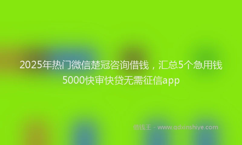2025年热门微信楚冠咨询借钱，汇总5个急用钱5000快审快贷无需征信app