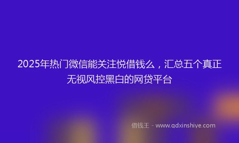 2025年热门微信能关注悦借钱么，汇总五个真正无视风控黑白的网贷平台