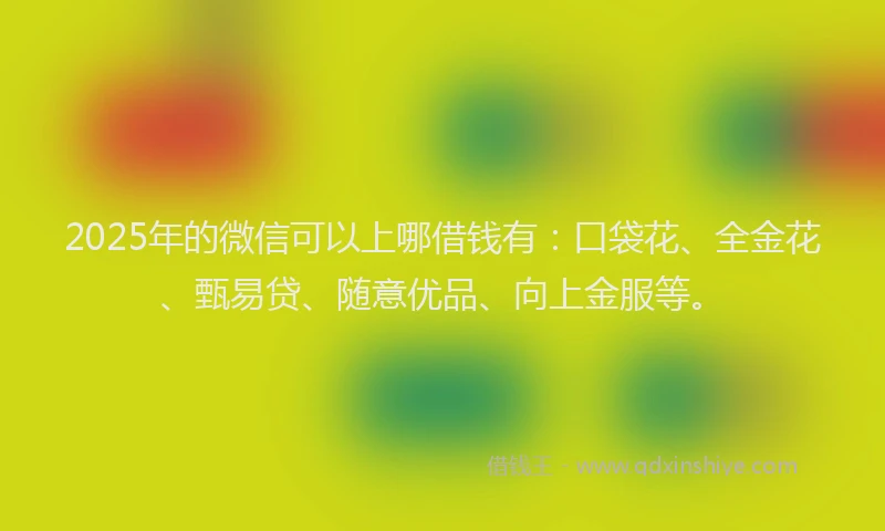 2025年的微信可以上哪借钱有：口袋花、全金花、甄易贷、随意优品、向上金服等。