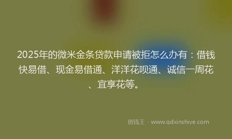 2025年的微米金条贷款申请被拒怎么办有：借钱快易借、现金易借通、洋洋花呗通、诚信一周花、宜享花等。