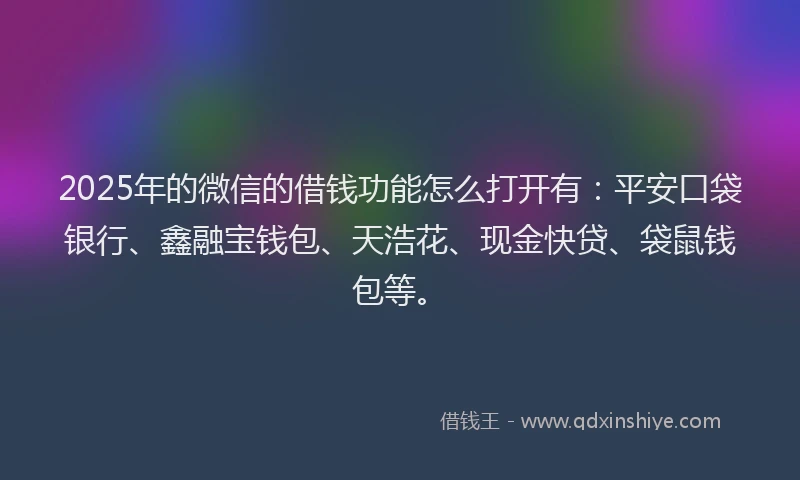2025年的微信的借钱功能怎么打开有：平安口袋银行、鑫融宝钱包、天浩花、现金快贷、袋鼠钱包等。