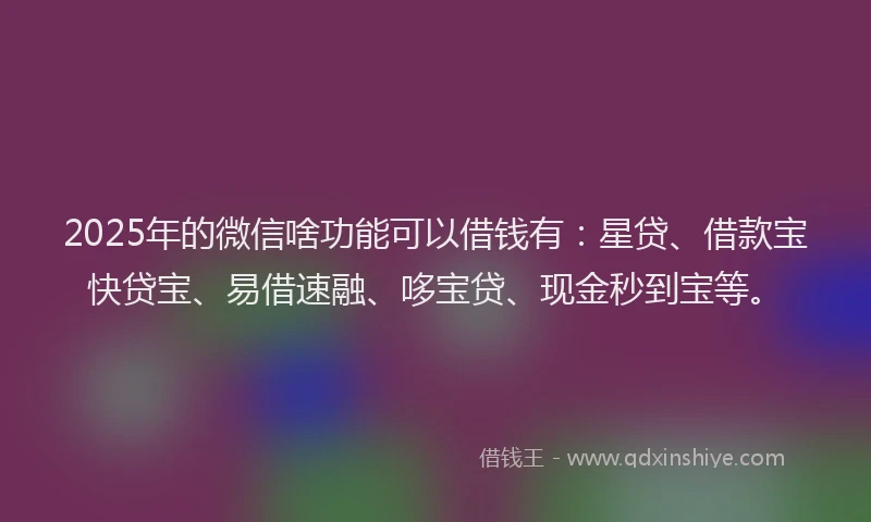 2025年的微信啥功能可以借钱有：星贷、借款宝快贷宝、易借速融、哆宝贷、现金秒到宝等。