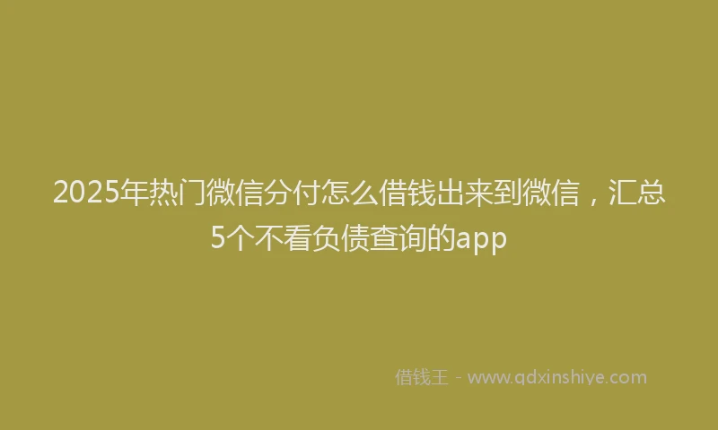 2025年热门微信分付怎么借钱出来到微信，汇总5个不看负债查询的app
