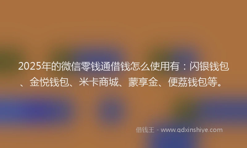 2025年的微信零钱通借钱怎么使用有：闪银钱包、金悦钱包、米卡商城、蒙享金、便荔钱包等。