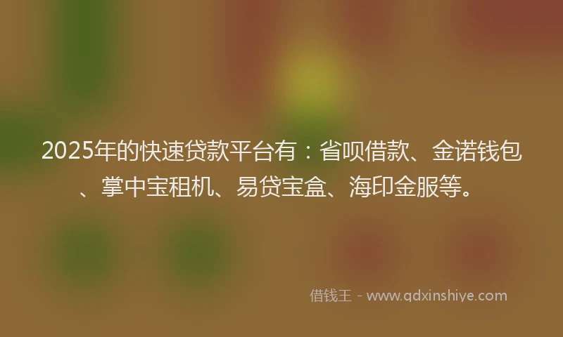 2025年的快速贷款平台有：省呗借款、金诺钱包、掌中宝租机、易贷宝盒、海印金服等。