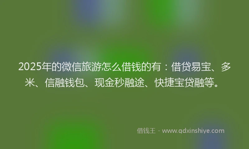 2025年的微信旅游怎么借钱的有：借贷易宝、多米、信融钱包、现金秒融途、快捷宝贷融等。