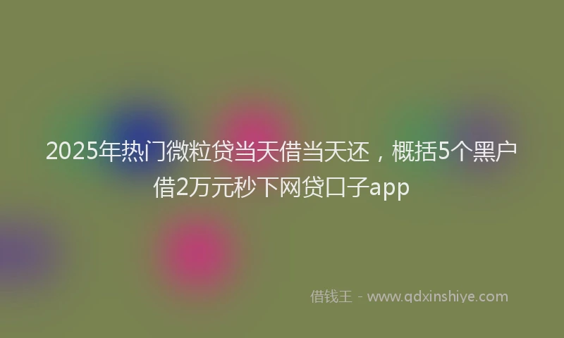 2025年热门微粒贷当天借当天还，概括5个黑户借2万元秒下网贷口子app