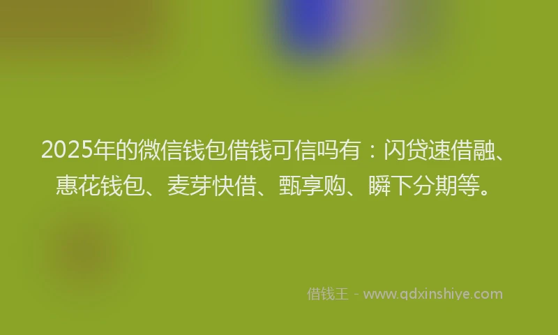 2025年的微信钱包借钱可信吗有：闪贷速借融、惠花钱包、麦芽快借、甄享购、瞬下分期等。