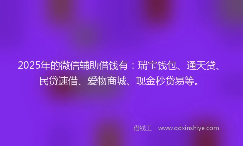 2025年的微信辅助借钱有：瑞宝钱包、通天贷、民贷速借、爱物商城、现金秒贷易等。