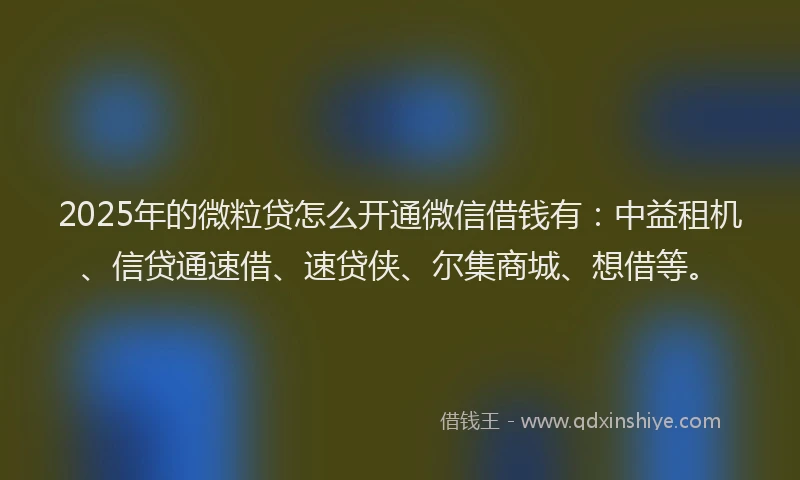 2025年的微粒贷怎么开通微信借钱有：中益租机、信贷通速借、速贷侠、尔集商城、想借等。