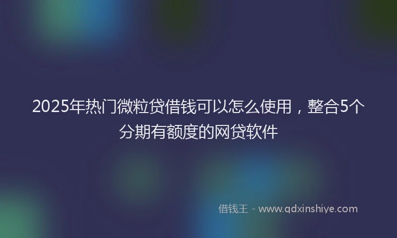 2025年热门微粒贷借钱可以怎么使用，整合5个分期有额度的网贷软件