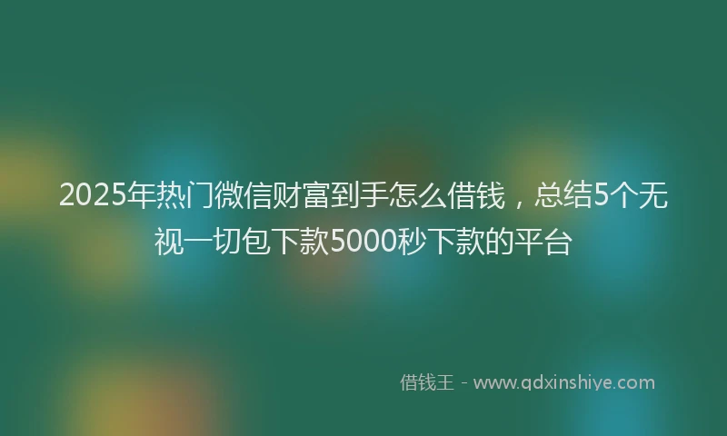 2025年热门微信财富到手怎么借钱,总结5个无视一切包下款5000秒下款的平台