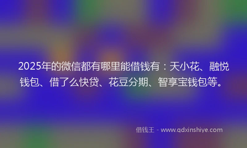 2025年的微信都有哪里能借钱有：天小花、融悦钱包、借了么快贷、花豆分期、智享宝钱包等。