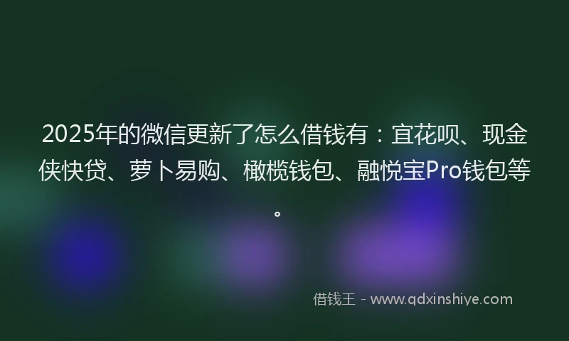 2025年的微信更新了怎么借钱有：宜花呗、现金侠快贷、萝卜易购、橄榄钱包、融悦宝Pro钱包等。