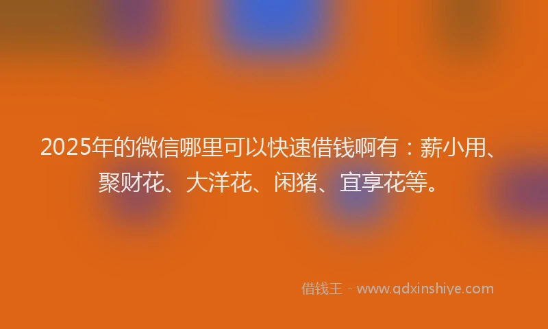 2025年的微信哪里可以快速借钱啊有：薪小用、聚财花、大洋花、闲猪、宜享花等。
