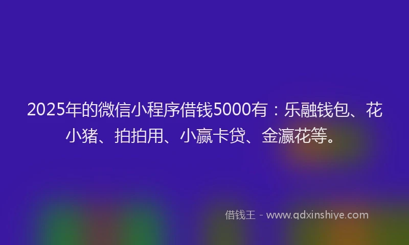 2025年的微信小程序借钱5000有：乐融钱包、花小猪、拍拍用、小赢卡贷、金瀛花等。