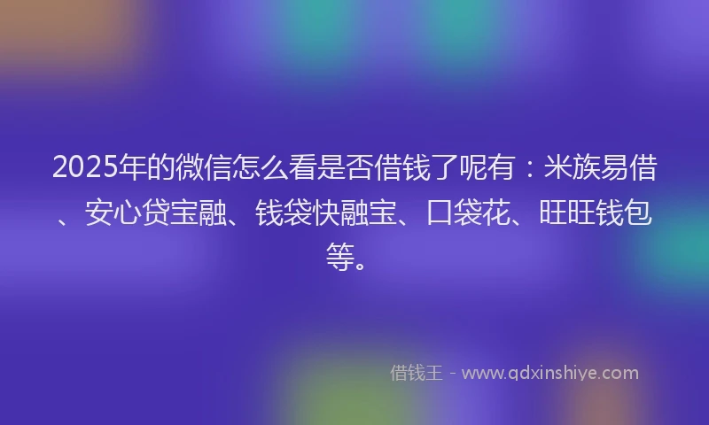 2025年的微信怎么看是否借钱了呢有：米族易借、安心贷宝融、钱袋快融宝、口袋花、旺旺钱包等。