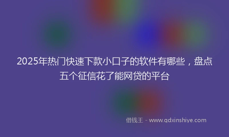 2025年热门快速下款小口子的软件有哪些，盘点五个征信花了能网贷的平台