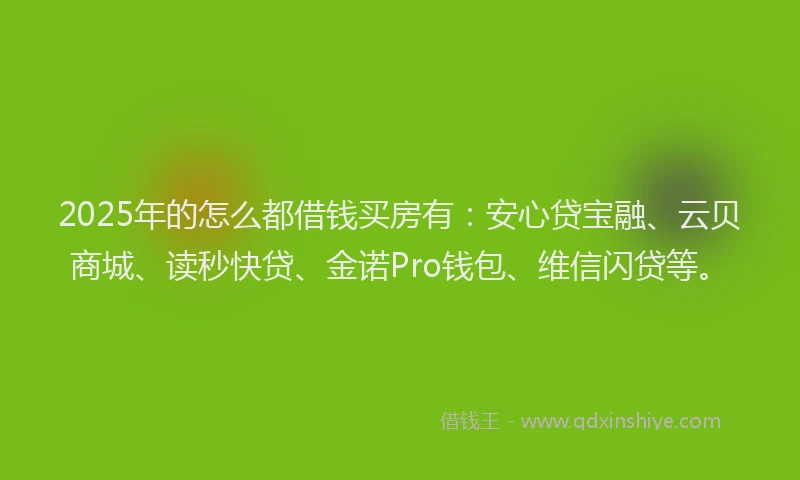2025年的怎么都借钱买房有：安心贷宝融、云贝商城、读秒快贷、金诺Pro钱包、维信闪贷等。
