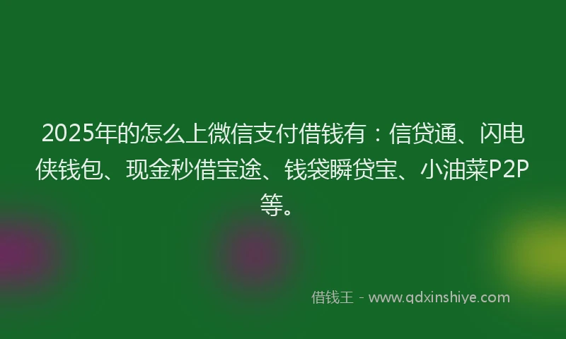 2025年的怎么上微信支付借钱有：信贷通、闪电侠钱包、现金秒借宝途、钱袋瞬贷宝、小油菜P2P等。