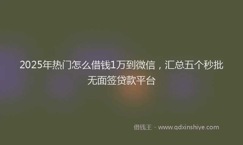 2025年热门怎么借钱1万到微信,汇总五个秒批无面签贷款平台